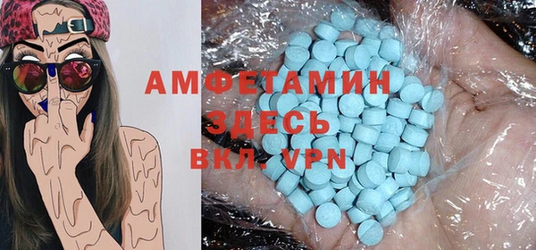 твердый Лагань