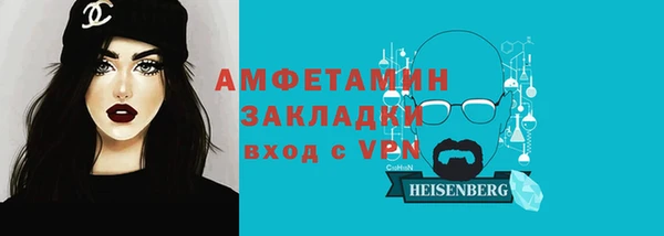 твердый Лагань