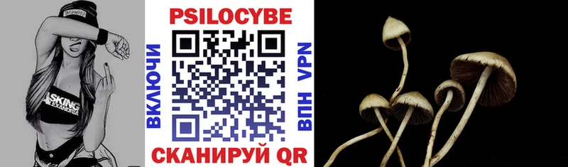 Купить закладки Нижнеудинск Галлюциногенные грибы ЛСД